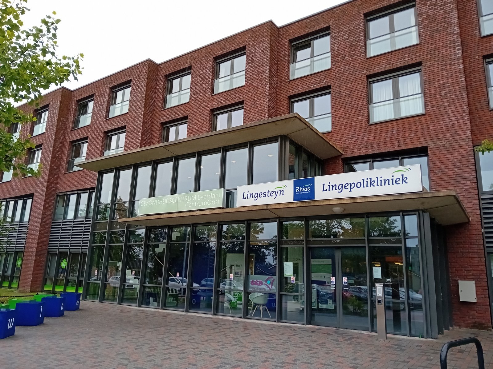 Lingesteyn