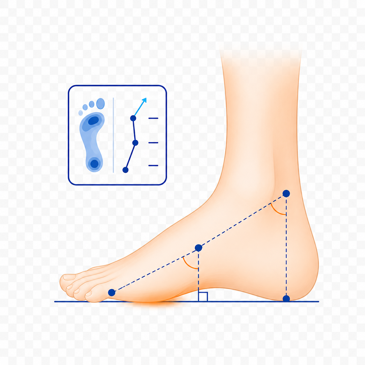 Biomechanical research at Rondom